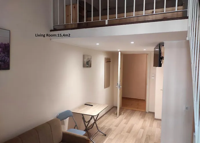 Loft House 招待所