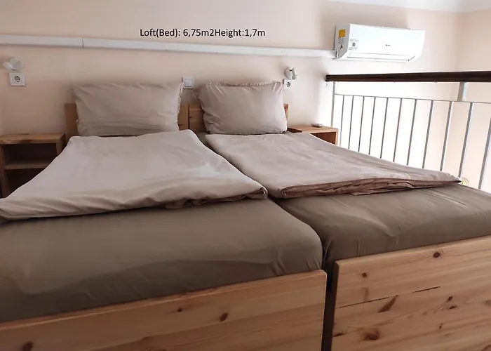 Loft House 招待所